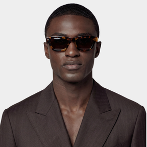 "VIII" Tortoise - Anniversary Model